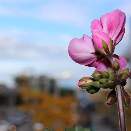 Vendégház Graf Konstanz